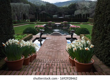 Filoli Gardens Images Stock Photos Vectors Shutterstock