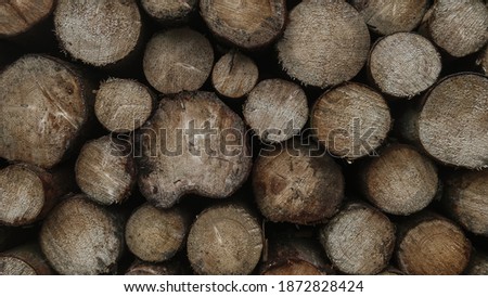 Woodstack dark moody structured natural forest background