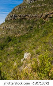 Woodstock Cave Along Cape Town Table Mountain Range - South Africa