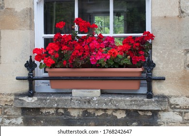 Woodstock, Oxfordshire, UK 06 22 2020 Red Horseshoe Geraniums Growing In A Window Box