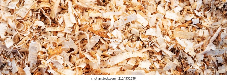 Woodworking Wood Shavings Or Wood Curls. Panoramic Background