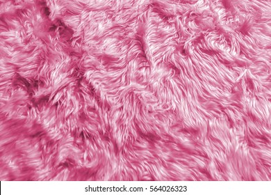 Wool Backgrounds Texture, Closeup of Natural Soft Romantic Pastel Pink Animal Fluffy Fur Background Texture for Luxury Furniture Material or Background Texture as Mock up / Template to input Text - Powered by Shutterstock