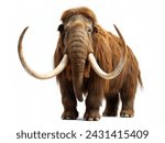Woolly mammoth isolated on white background. Front view of extinct prehistoric mammal.