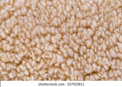 Woolly Sheep Fleece Texture - Furry Background