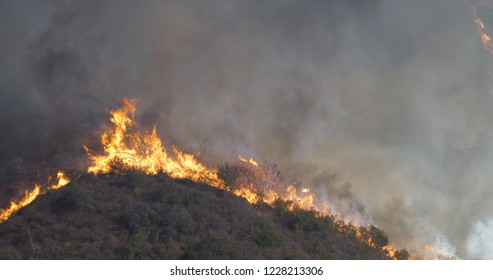 Woolsey Fire 2018 in Malibu Kalifornien