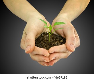  wooman holding a plant between hands on white - Powered by Shutterstock