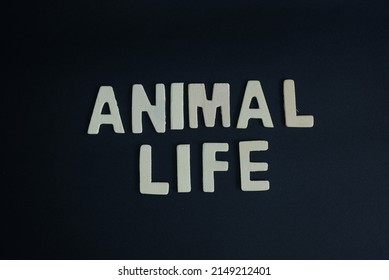 Word 'Animal Life' On Black Background. Animals Collectively, Especially Those Native To A Particular Region, Habitat, Or Geological Period.