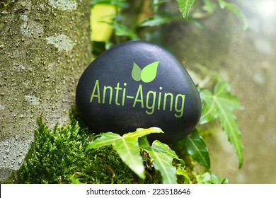 The Word  Anti-Aging on a stone in nature