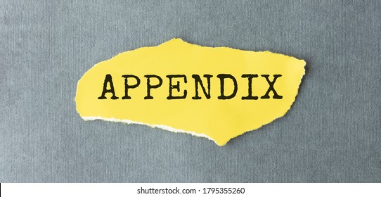 Word Appendix Written On A Yellow Piece Of Paper.