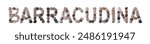 The word "BARRACUDINA" is lined with shells and stones of different shapes and colors on a transparent background. Types of fish and seafood, price tag, sea food, fish market, sea alphabet.