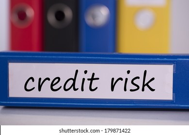 The Word Credit Risk On Blue Business Binder