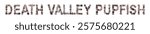The word "DEATH VALLEY PUPFISH" is lined with shells and stones of different shapes and colors on a transparent background. Types of fish and seafood, price tag, sea food, fish market, sea alphabet.