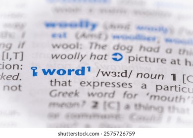 Word in a dictionary. Selective focus, close up.