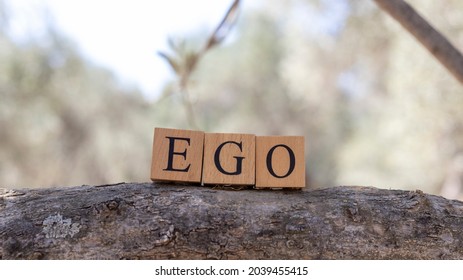 The word ego was created from wooden cubes. Taken outside on a tree branch. close up