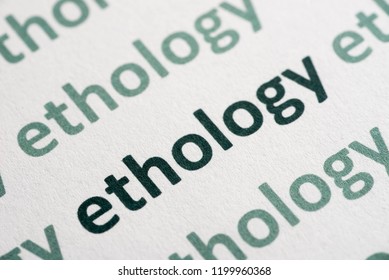 Word Ethology Printed On White Paper Macro