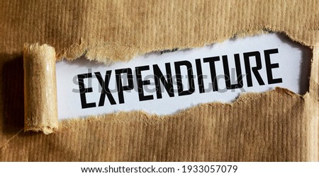 The word EXPENDITURE written on torn brown paper. Business concept