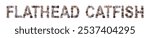 The word "FLATHEAD CATFISH" is lined with shells and stones of different shapes and colors on a transparent background. Types of fish and seafood, price tag, sea food, fish market, sea alphabet.
