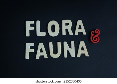 Word 'Flora and fauna' on black 
background. Flora and fauna means “plants and animals.” Flora referring to plants, and fauna refers to animals.