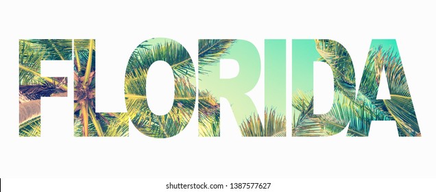 Word Florida with palm trees on white background