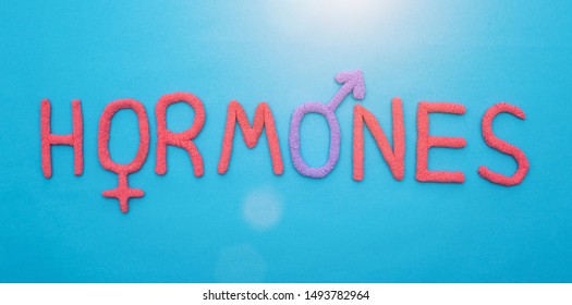 The word hormones from red plasticine on a blue background concept of all human hormones, inscription