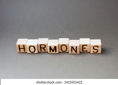 The Word Hormones Wooden Cubes With Burnt Letters, The Value Of Hormones In The Human Body, Gray Background Top View, Scattered Cubes Around Random Letters