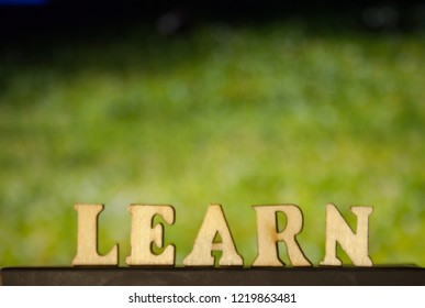 The word LEARN made of wooden letters on green background. Letter concept. - Shutterstock ID 1219863481