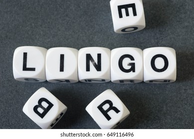 word lingo on white toy cubes