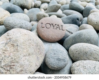 The Word Loyal Engraved Onto A Rock