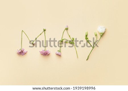 Word MAY made of beautiful flowers on color background