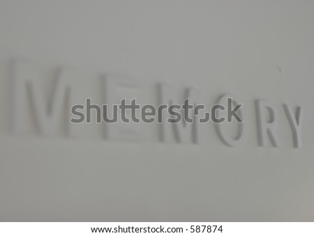 The word 