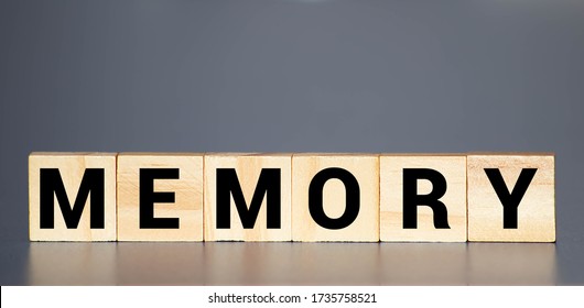 Good Sentence With The Word Memory