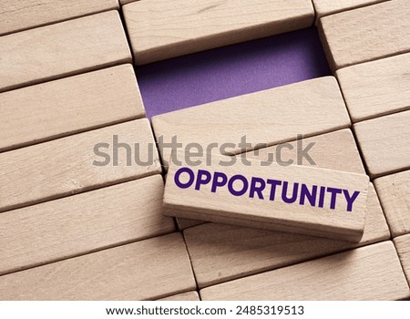 The word opportunity on wooden blocks. Assessing business opportunities concept.