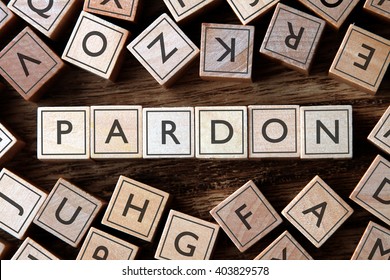 Pardon High Res Stock Images Shutterstock