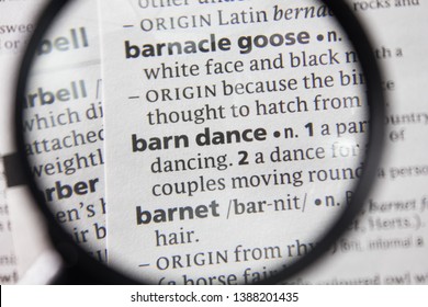 The Word Or Phrase Barn Dance In A Dictionary.