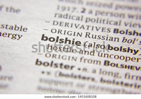 bolster dictionary