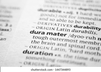 Word Or Phrase Dura Mater In A Dictionary