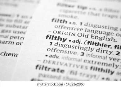 what is filthy language meaning
