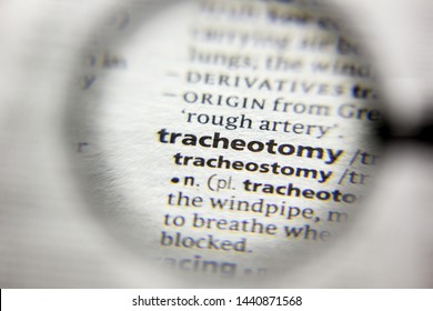 The Word Or Phrase Tracheotomy In A Dictionary