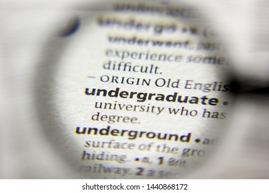 The Word Or Phrase Undergraduate In A Dictionary