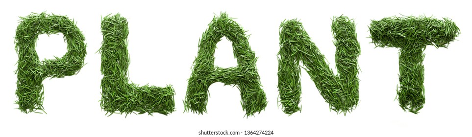 word-plant-made-grass-isolated-on-stock-photo-1364274224-shutterstock