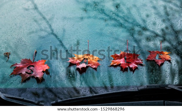 word sale of\
letters carved on colorful red bright maple leaves lie on the\
windshield of the car in the autumn\
rain