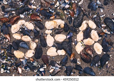 Word sea made of seashells on the beach