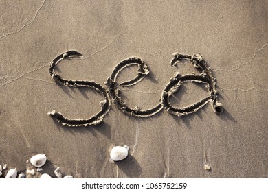 The Word Sea Write In The Sand On The Beach With A Shells In The Down Left Corner