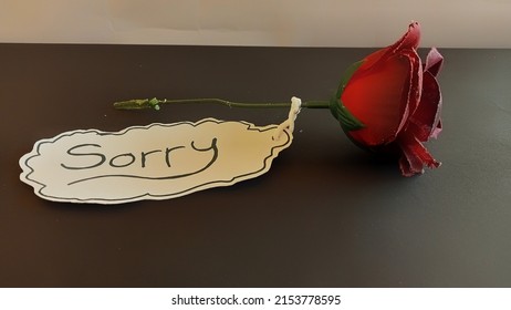 the word SORRY and a bouquet of roses on a white background. flowers and writing sorry as a symbol of apology