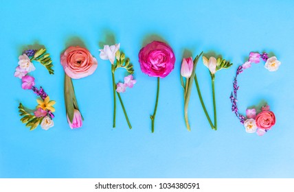 Word Is Spring From Flowers
