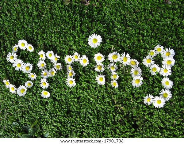 Word Spring Written Daisies Stock Photo (Edit Now) 17901736