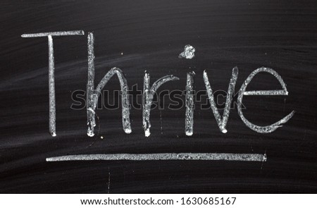 The word Thrive written by hand in white chalk on a blackboard as a reminder