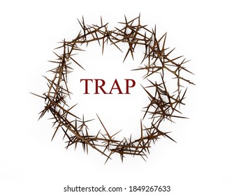The Word Trap Among The Thorns. Trap Concept.