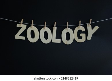 Word 'Zoology' On White Background. Zoology Is The Branch Of Biology That Studies The Animal Kingdom, Including The Structure, Embryology, Evolution, Classification, Habits, And Distribution Of Animal