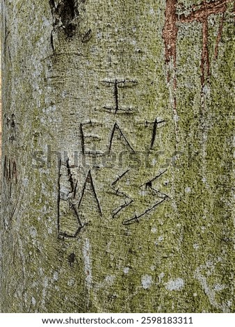 Words etched into the side of a tree in the forest
